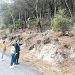 57 mil euros para limpar faixas de gestão de combustível