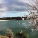 Algarve