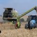 agricultores