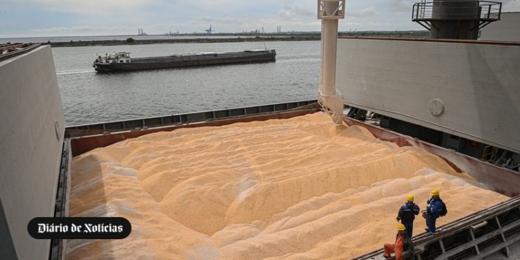Workers assist the loading of corn on to a ship at Pier 80 in the Black Sea port of Constanta, Romania on May 3, 2022. - The Romanian port seeks to become an export hub for neighbouring Ukraine after Russia's invasion cut off its sea routes. Before the war, Ukraine exported 4.5 million tonnes of agricultural produce per month through its ports -– 12 percent of the world's wheat, 15 percent of its corn and 50 percent of its sunflower oil. (Photo by Daniel MIHAILESCU / AFP)