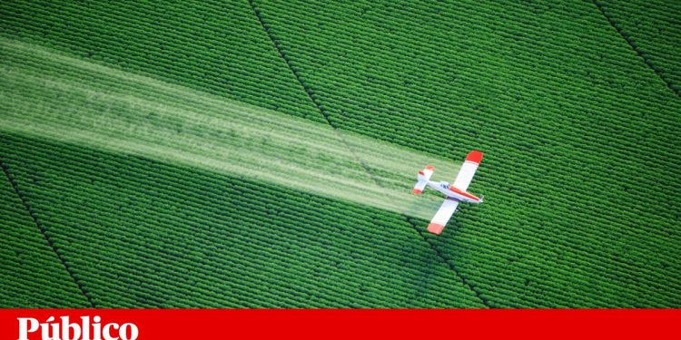 avião pesticidas