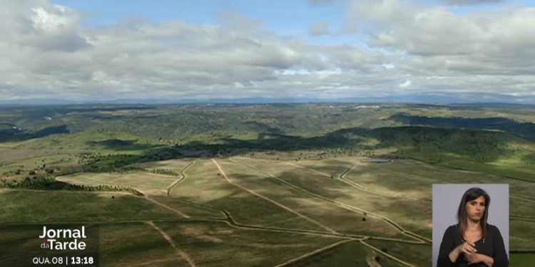 produção agrícola