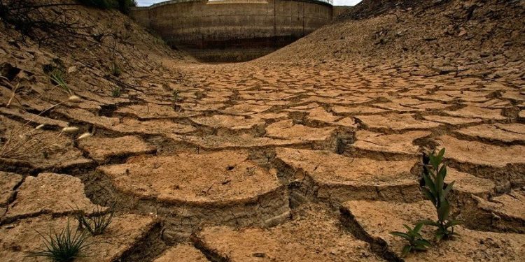 Alentejo preocupado com ano agrícola