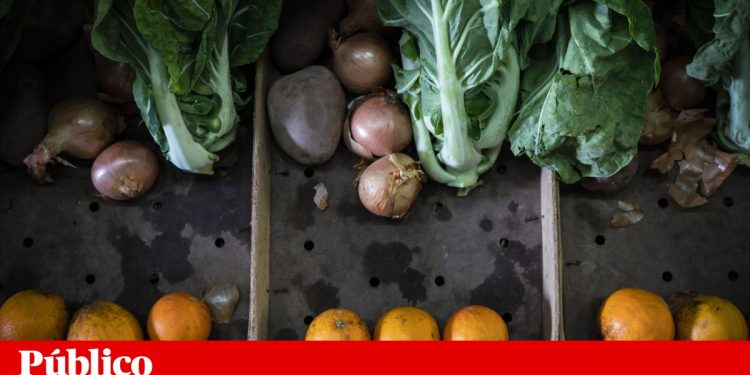 agricultura