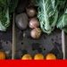 agricultura