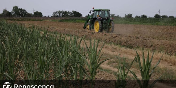 agricultura