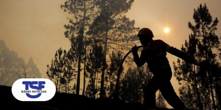 incêndios