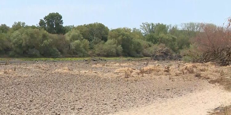 seca tejo