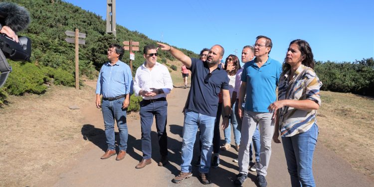 ps trilhos madeira