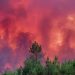 incendio frança