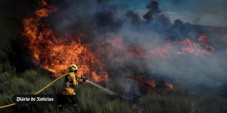 Previsão do tempo incendios