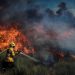 Previsão do tempo incendios