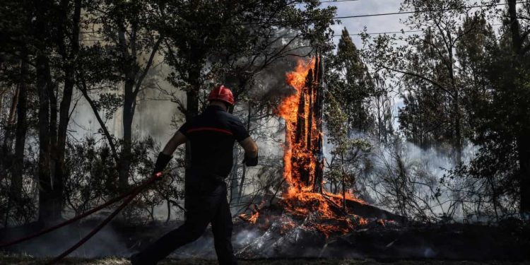 incêndios frança