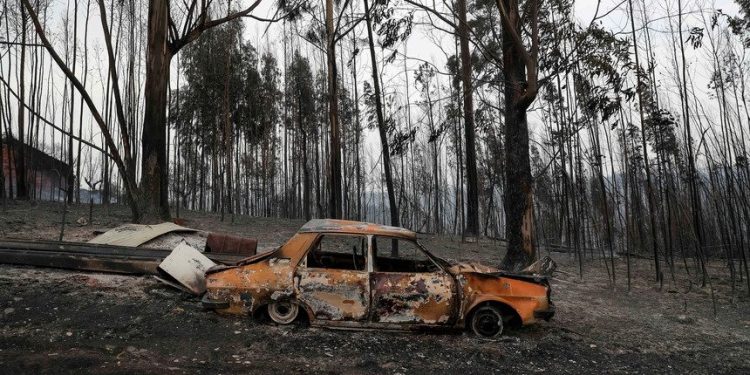 apoios incêndios pombal
