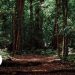 OE2023 para o ambiente
