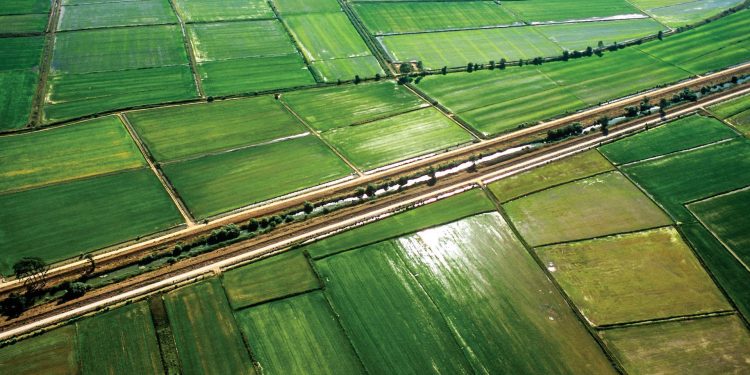 viabilidade da agricultura portuguesa