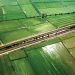 viabilidade da agricultura portuguesa