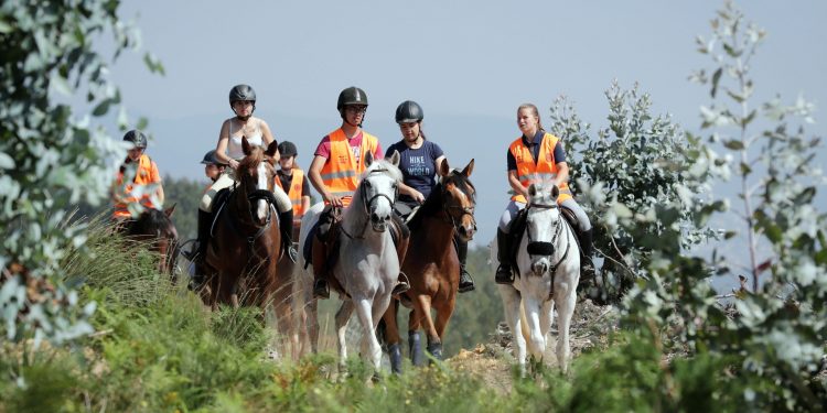 incendios prevençao cavalo
