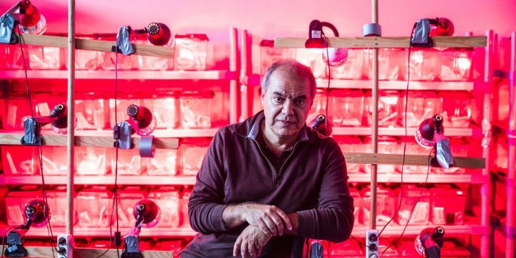 Jorge Rebelo de Almeida