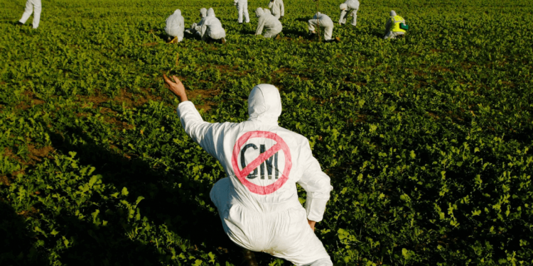 anti-gmo