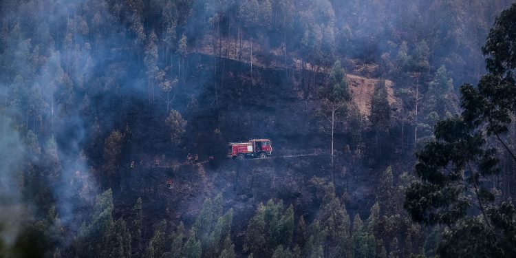 incendios