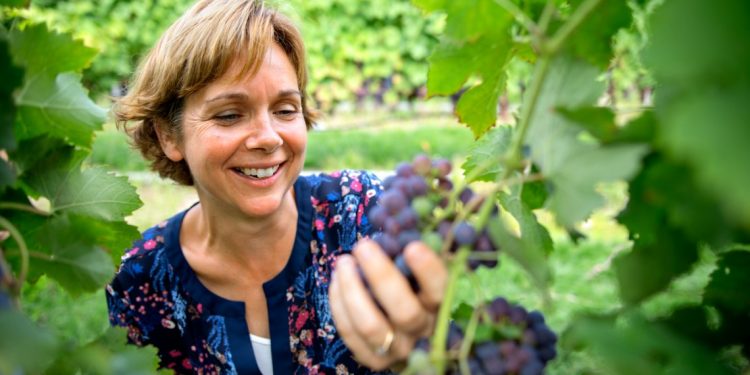 grapes