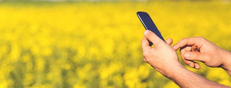 Marketing digital Agroalimentar
