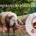 IV-Jornadas-Bisaro