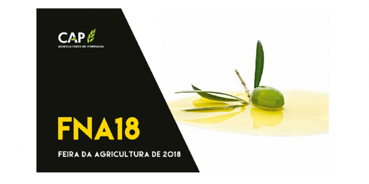 conferências