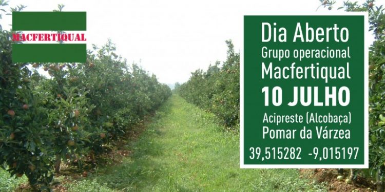 Macfertiqual