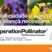 operation pollination portugal