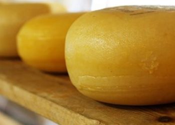 queijo pixabay
