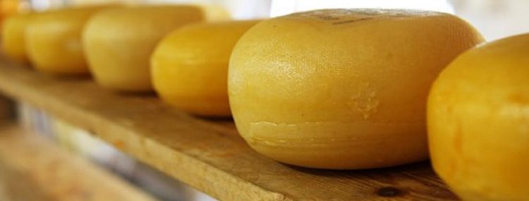 queijo pixabay