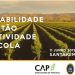 contabilidade e gestão na atividade agrícola