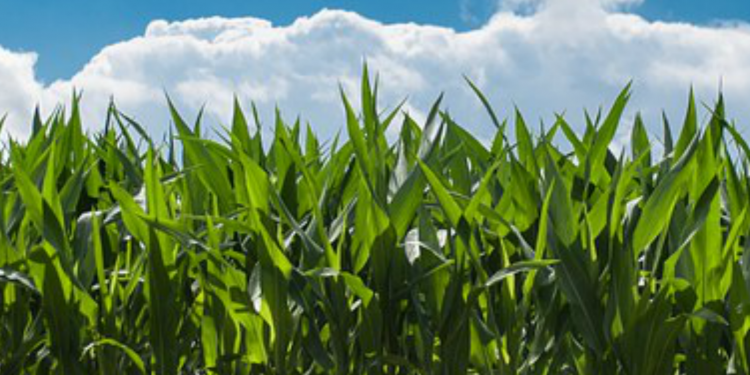 seminário proteção do solo