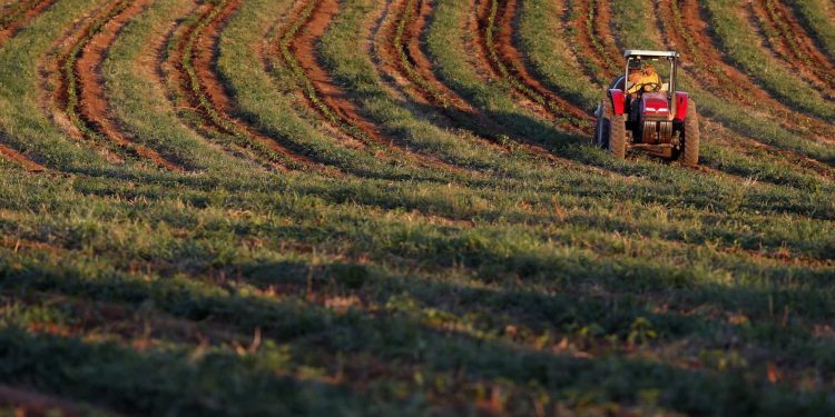 agricultura