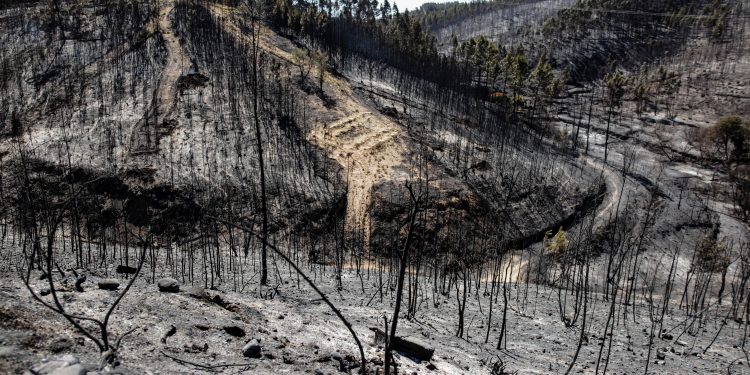 incêndios