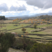 barroso mundo rural