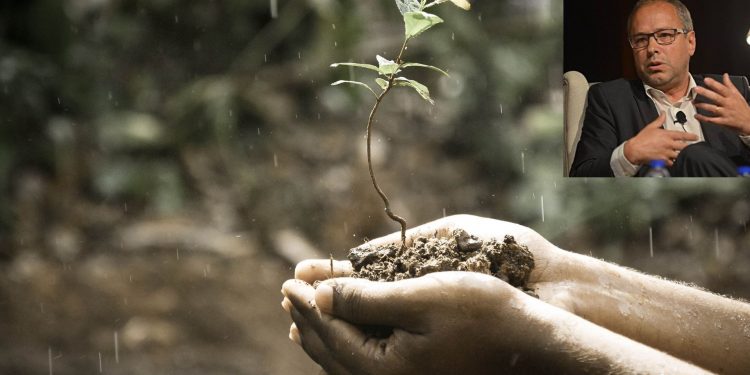 Planta na mão