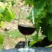 vinhos do alentejo