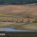 barragem pego do altar seca
