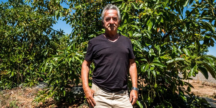 RUI GAUDÊNCIO