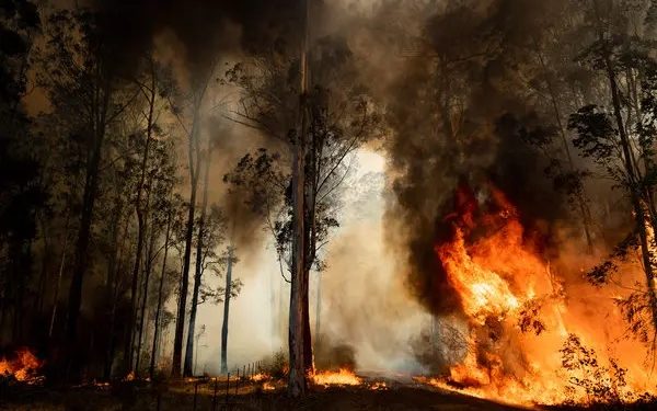 incêndios