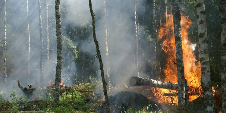 incêndio