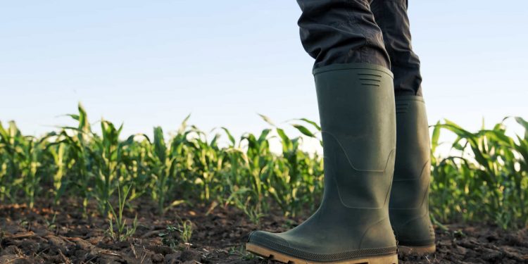 botas agricultura