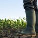 botas agricultura