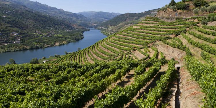 Douro