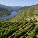 Douro