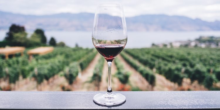 vinho-unsplash
