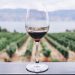 vinho-unsplash